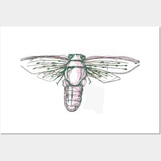 Cicada Posters and Art